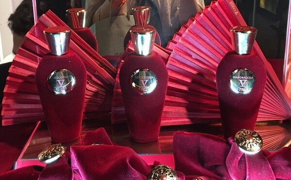 Cicuta, Lucrethia и Mandragola от V Canto