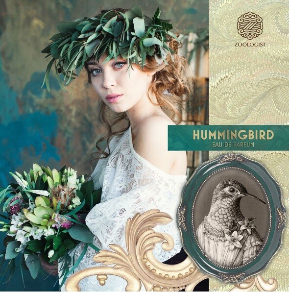 Hummingbird от Zoologist