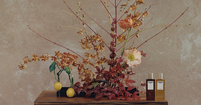 Loewe обращаются к природе в кампании Botanical Rainbow