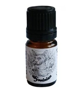 Smashing Apothekitty Abyssinian
