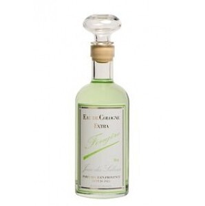 Jean des Salines Fern / Fougère