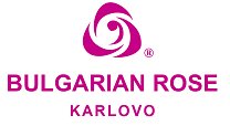 Bulgarian Rose Karlovo