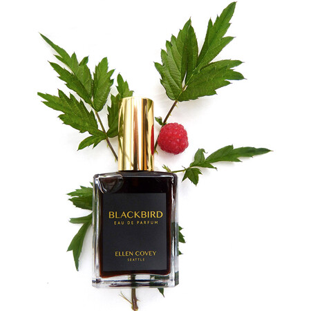 Blackbird от Olympic Orchids