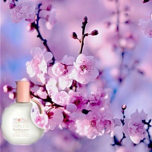 Matsu Sakura от Masaki Matsushima