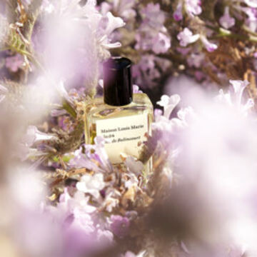 Новая линия ароматов от Maison Louis Marie