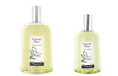 fragonard figuier fleur eau de toilette