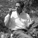 Richard Melchio,