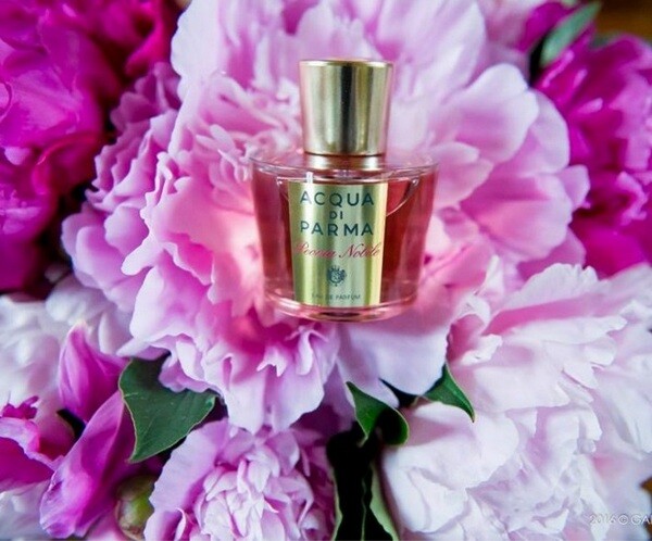 Peonia Nobile от Acqua di Parma