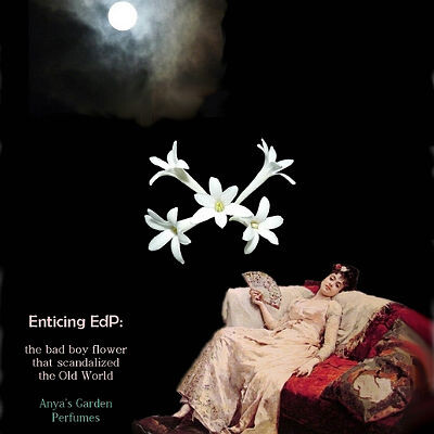 Enticing от Anya’s Garden