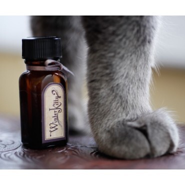 Winter Kitty, Nightshade Garden, Black Forest Cake и Fireside Story от For Strange Women – новые натуральные ароматы от нишевого бренда с оригинальным названием