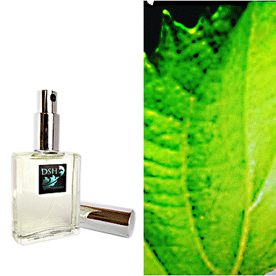 Wasabi Shiso 2016 от DSH Perfumes