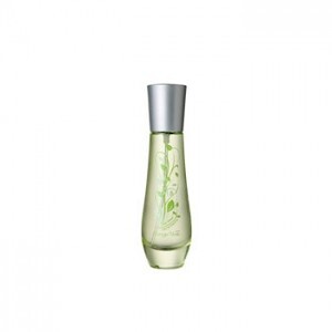 Bottega Verde Te Verde