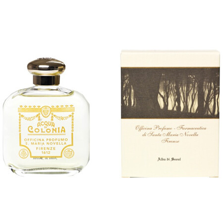 Alba di Seoul от Santa Maria Novella – новый уникальный аромат соснового леса самого древнего парфюмерного бренда в мире