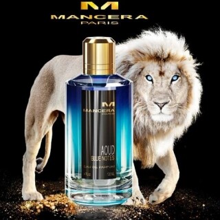 Mancera the aoud sales