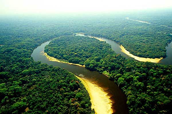 L'Amazonie Eau de Parfum от Chamma da Amazônia – новый инновационный аромат на основе масла, полученного из листьев розового дерева