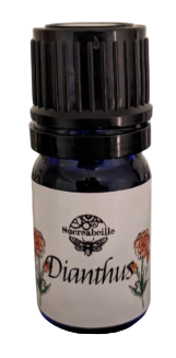 Sucreabeille Dianthus Perfume Oil