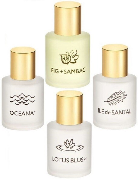 Terranova - новые ароматы бренда