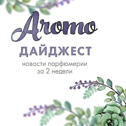 Дайджест: 5:0 в пользу ниши и еще