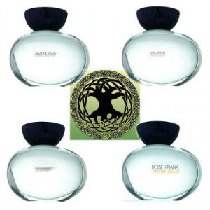 Anima Vinci: новый бренд с дебютной коллекцией ароматов