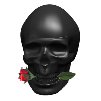 Skulls & Roses – два новых аромата от Ed Hardy