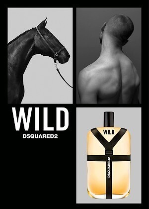 Dsquared cheap perfume wild