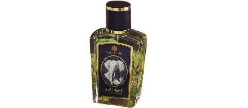 Elephant от Zoologist Perfumes