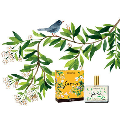 Jasmin от Fragonard