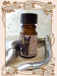 Blooddrop L'Ecurie Blooddrop - Moorlands Totilas