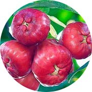 Ноты в ароматах