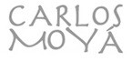 Carlos Moya
