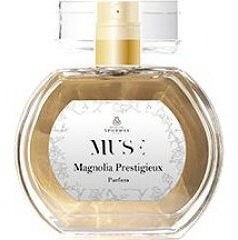 Marcus Spurway Magnolia Prestigieux