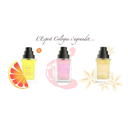 South Bay, Kashan Rose и White Zagora от The Different Company