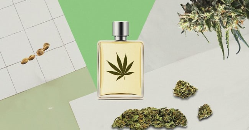 Купить духи с запахом конопли марихуана страдание