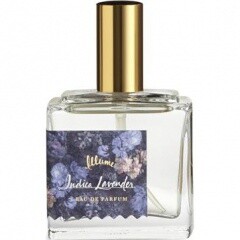 Illume Indica Lavender