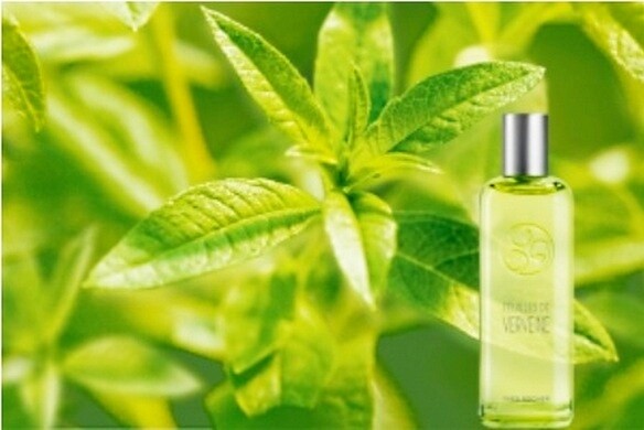 Un Matin au Jardin - Feuilles de Verveine от Yves Rocher