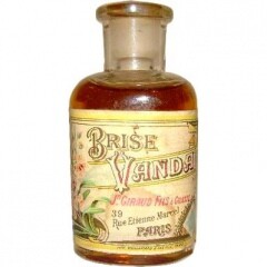 Jean-Paul Giraud et Fils Brise Vanda