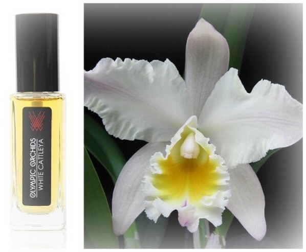 White Cattleya от Olympic Orchids Artisan Perfumes
