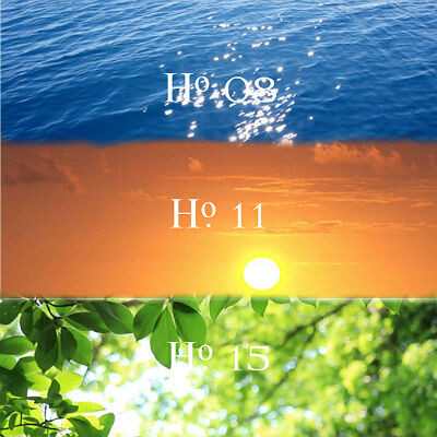 No. 08, No. 11 (2016) и No. 15 от Le Cherche Midi