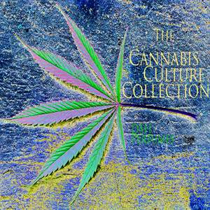 Agrestic, I Love You, Mary Jane, Rocky Mountain High и The Green House от DSH Perfumes