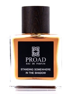 Proad Standing Somewhere in the Shadow