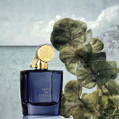 Copal Azur от Aedes de Venustas