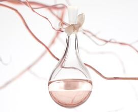 l'Elixir de vie (The Elixir of Life) от Coppelia Pique – дебютные духи нового парфюмерного бренда