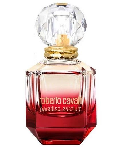 paradiso by roberto cavalli