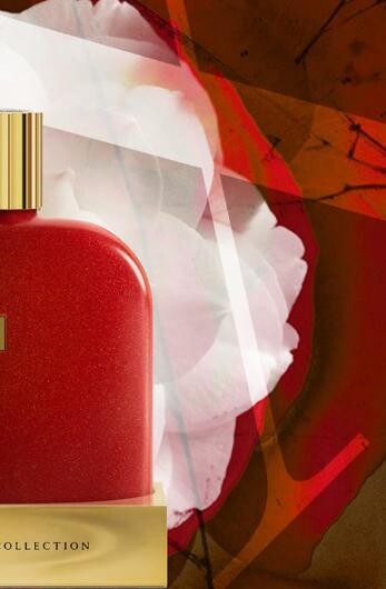 The Library Collection Opus IX от Amouage