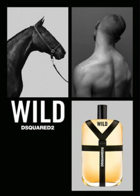 Wild от Dsquared²