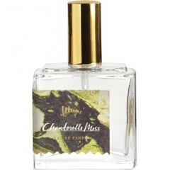 Illume Chanterelle Moss