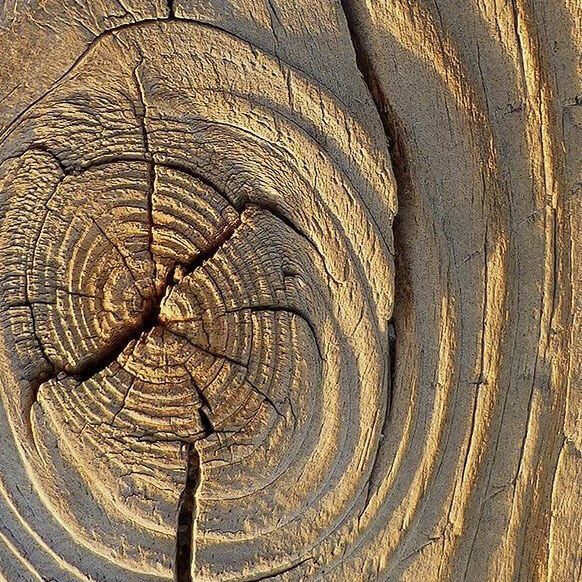 Ноты в ароматах