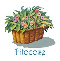 Fitocose
