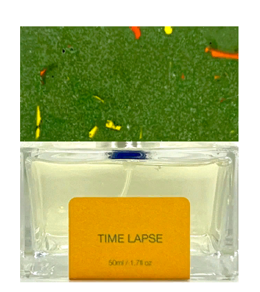 Pictor Parfum Time Lapse