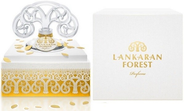 Lankaran Forest от Maria Candida Gentile